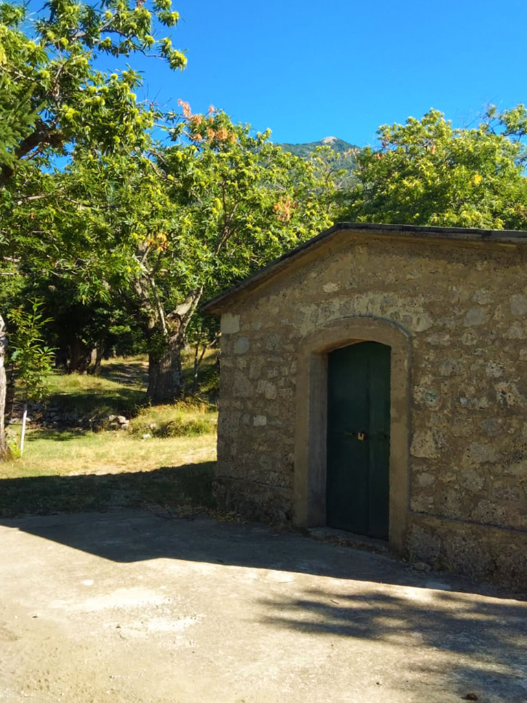 Immagine WhatsApp 2024-04-11 ore 10.04.34_2fafe986