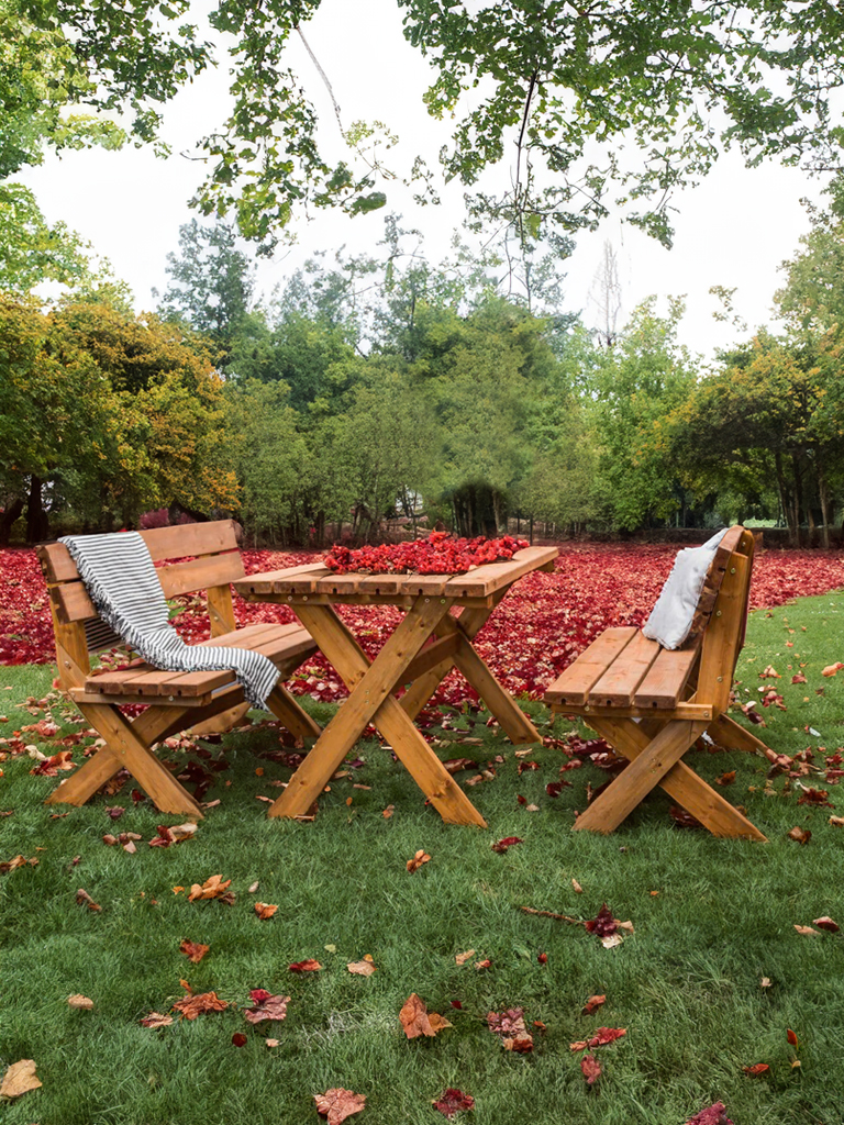 panchina nel castagneto